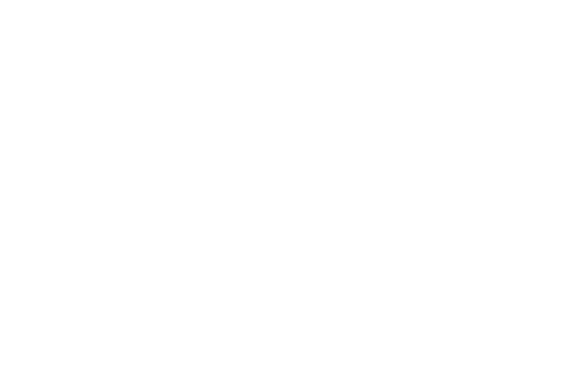 Solvite